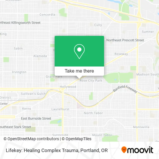 Lifekey: Healing Complex Trauma map