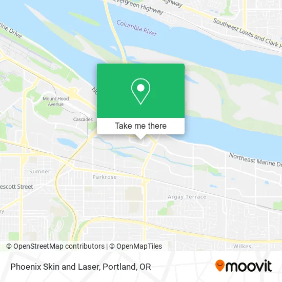 Phoenix Skin and Laser map