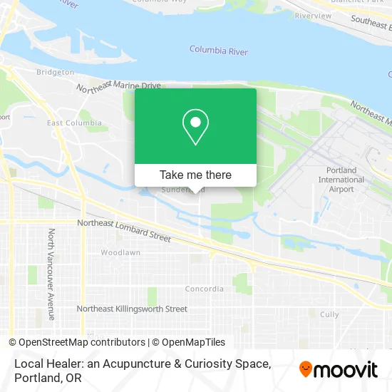 Local Healer: an Acupuncture & Curiosity Space map