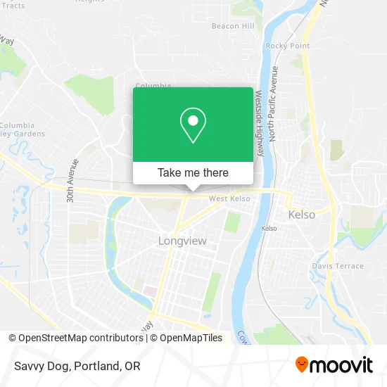 Savvy Dog map