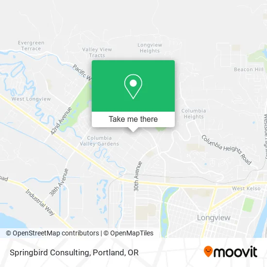 Springbird Consulting map
