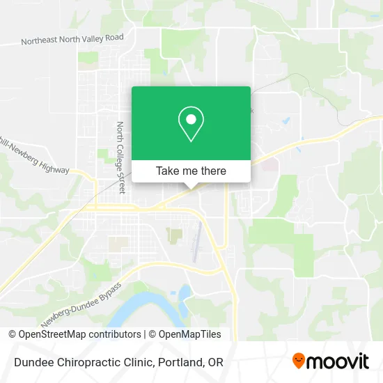 Dundee Chiropractic Clinic map