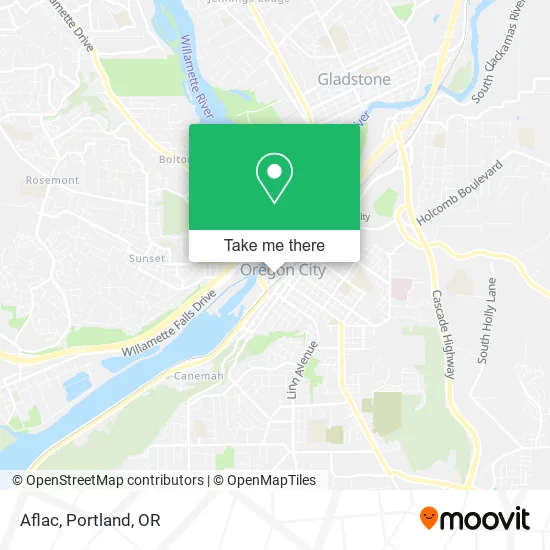 Aflac map