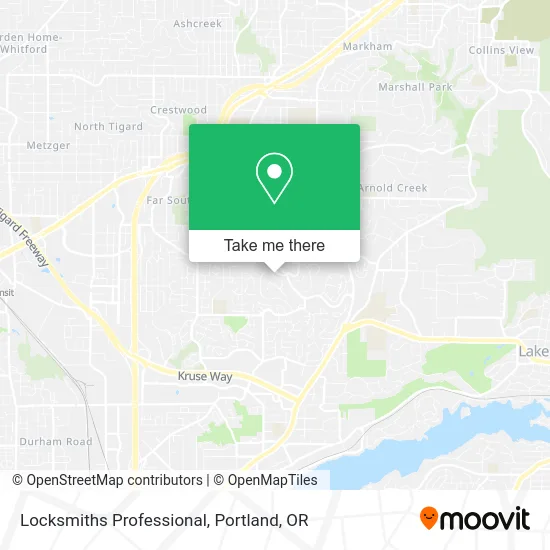 Locksmiths Professional map