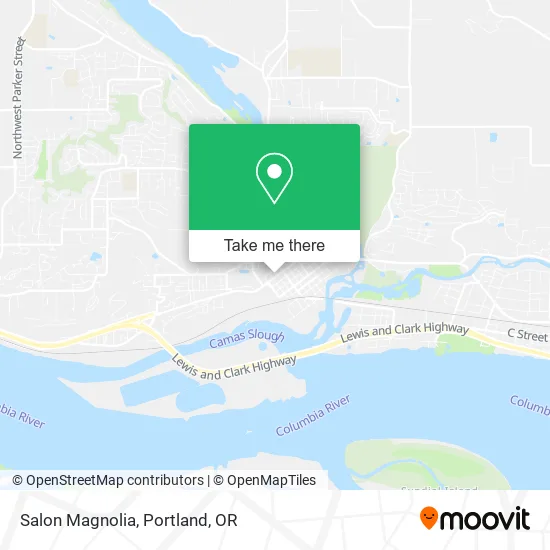 Mapa de Salon Magnolia