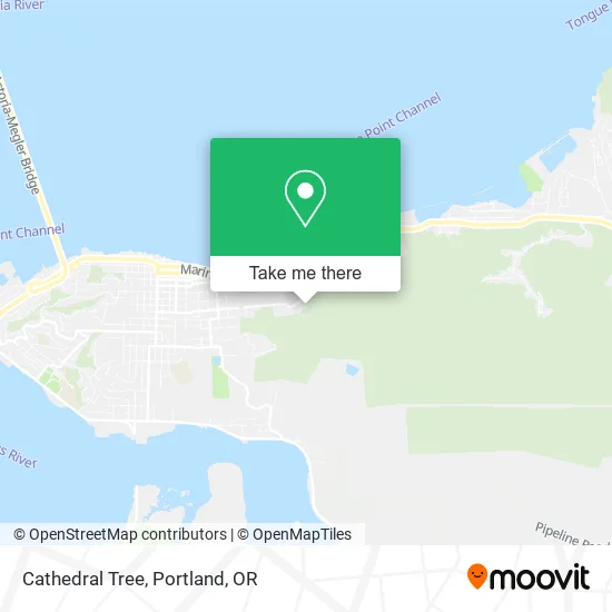Mapa de Cathedral Tree