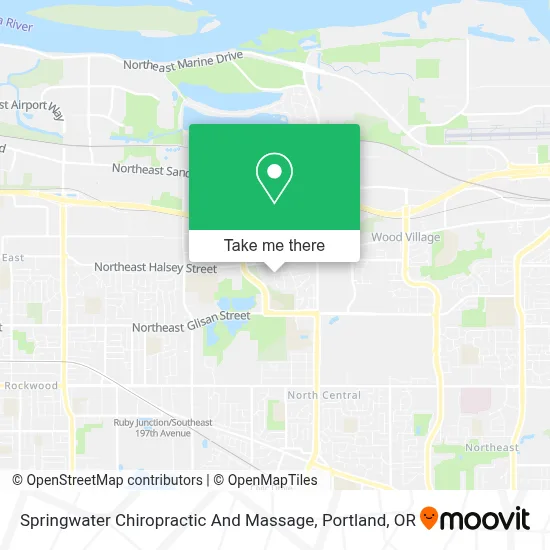 Springwater Chiropractic And Massage map
