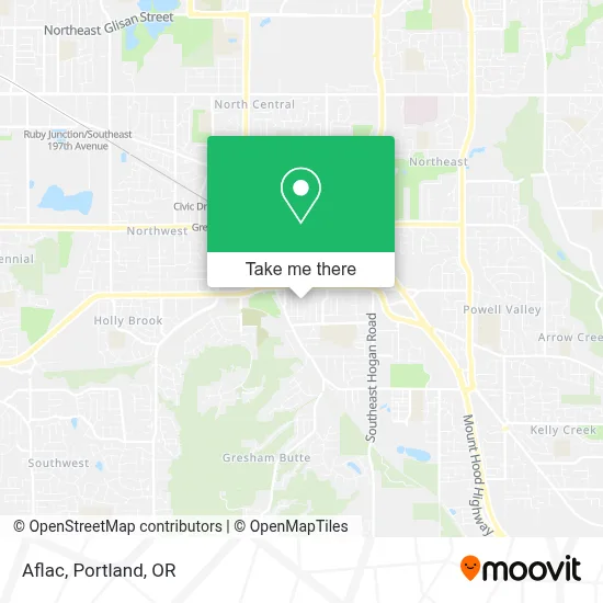 Aflac map