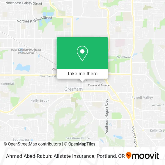 Ahmad Abed-Rabuh: Allstate Insurance map