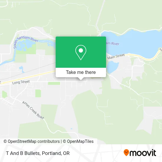 T And B Bullets map