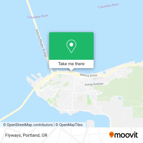 Flyways map