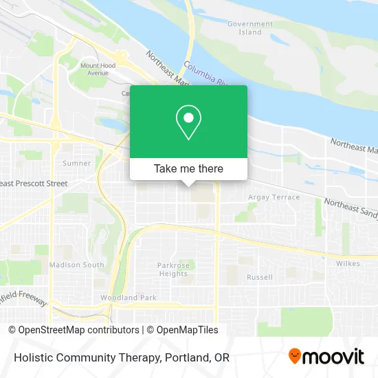 Holistic Community Therapy map