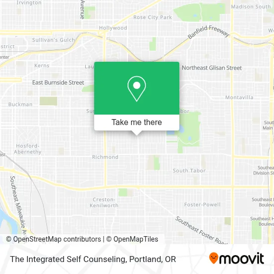 The Integrated Self Counseling map