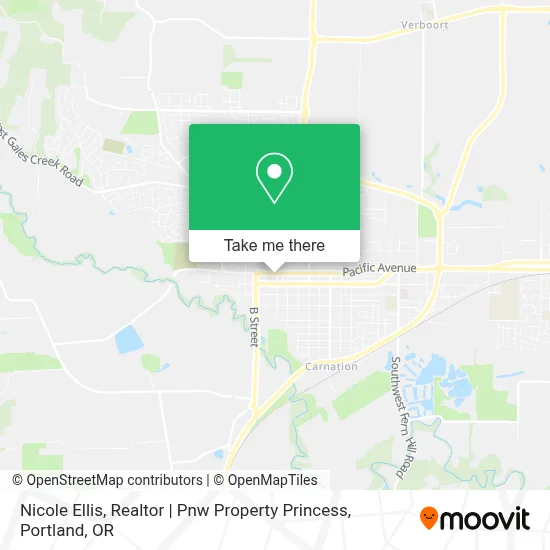 Nicole Ellis, Realtor | Pnw Property Princess map