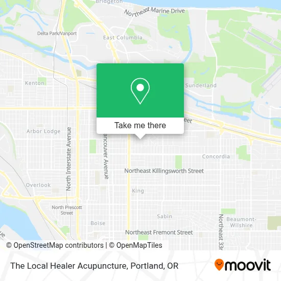The Local Healer Acupuncture map