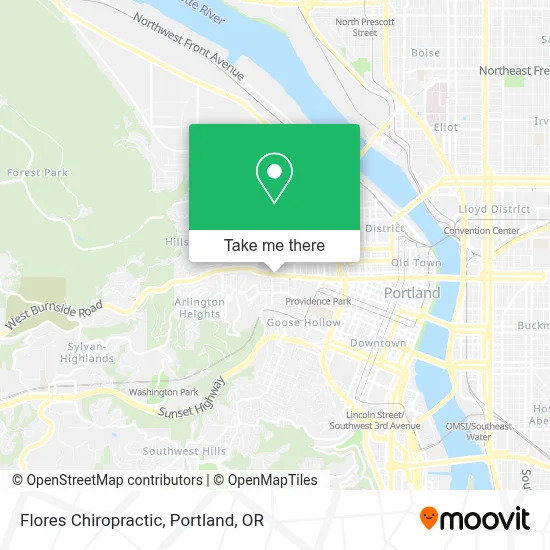 Flores Chiropractic map