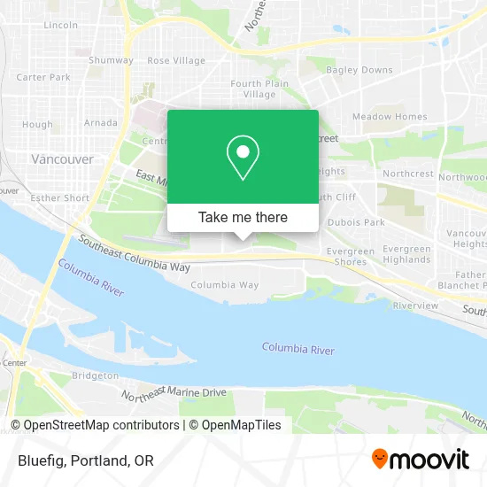 Bluefig map