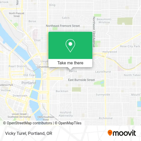 Vicky Turel map