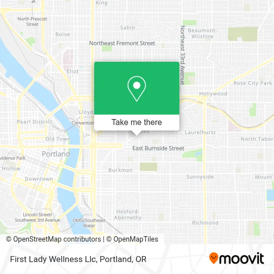 First Lady Wellness Llc map