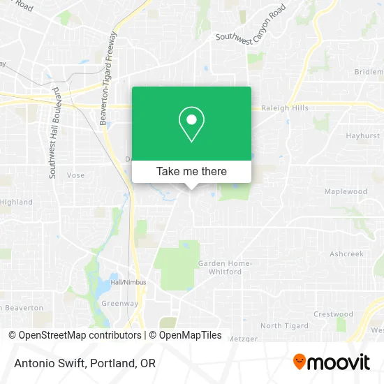 Antonio Swift map