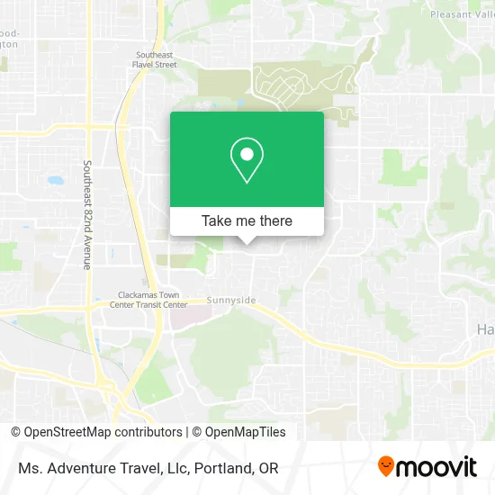 Ms. Adventure Travel, Llc map
