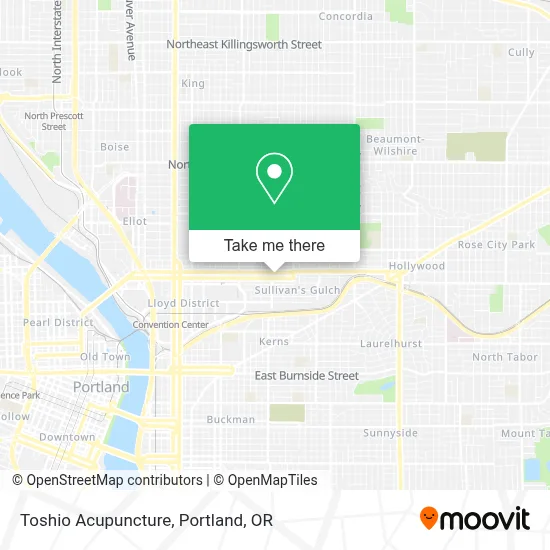 Toshio Acupuncture map