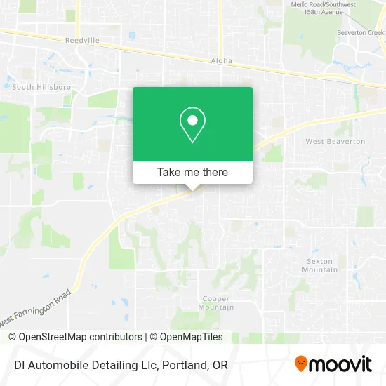 Dl Automobile Detailing Llc map