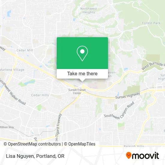 Lisa Nguyen map