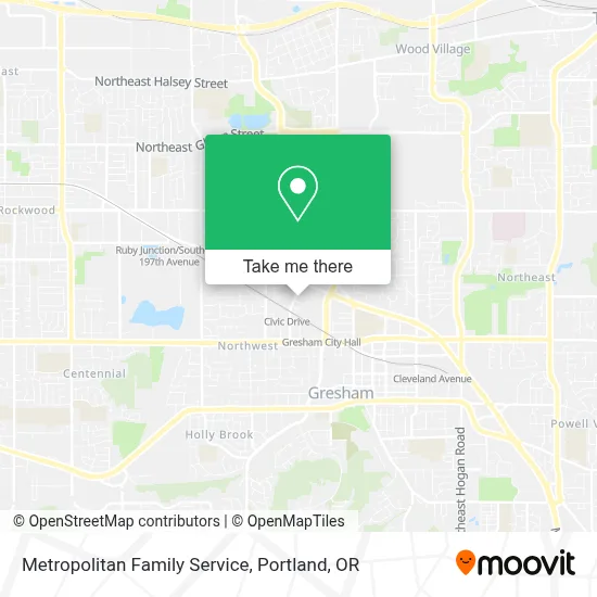 Metropolitan Family Service map