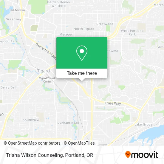 Trisha Wilson Counseling map