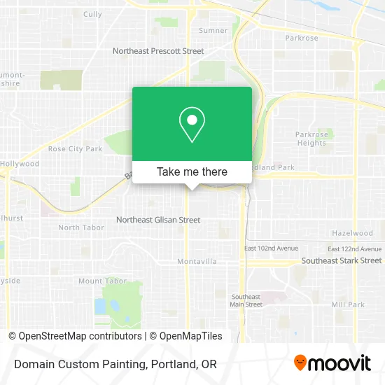 Domain Custom Painting map