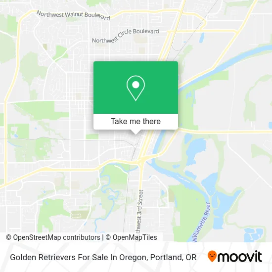 Golden Retrievers For Sale In Oregon map