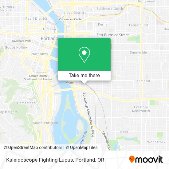 Kaleidoscope Fighting Lupus map