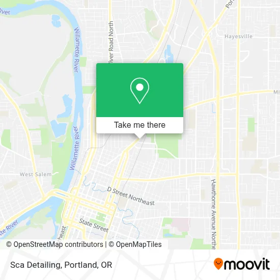 Sca Detailing map