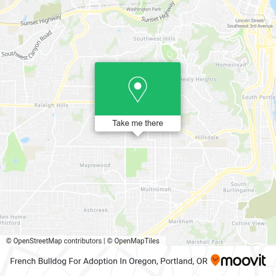 French Bulldog For Adoption In Oregon map