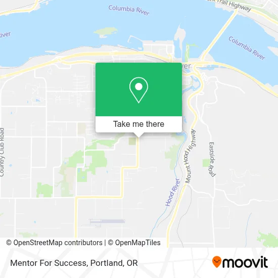 Mentor For Success map