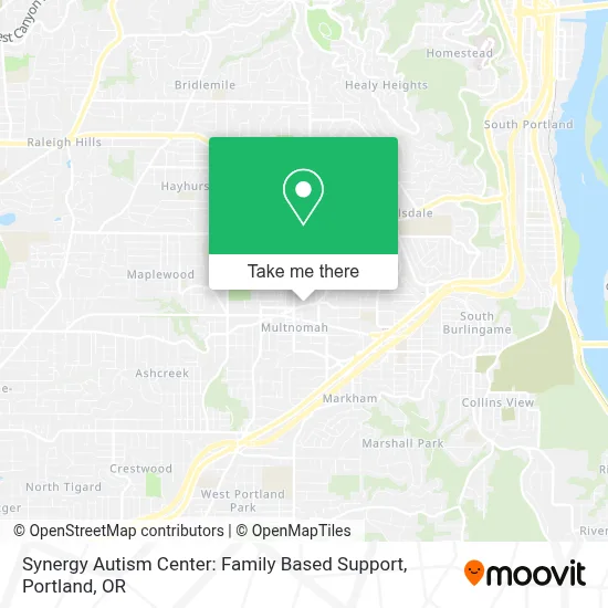 Synergy Autism Center:  Family Based Support map