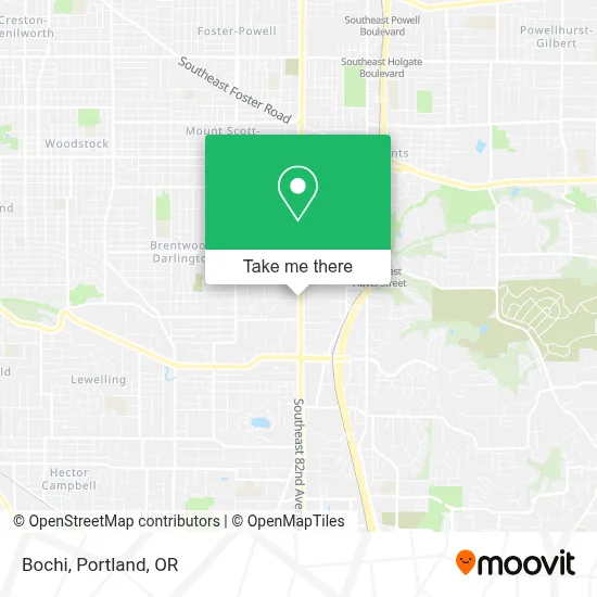 Bochi map