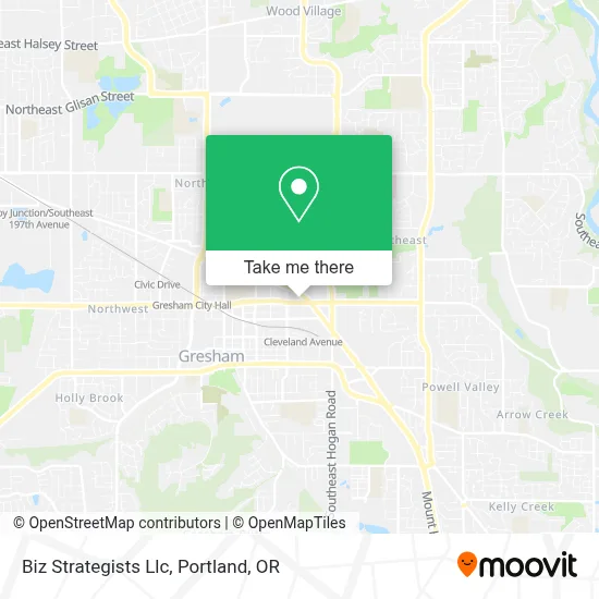 Biz Strategists Llc map