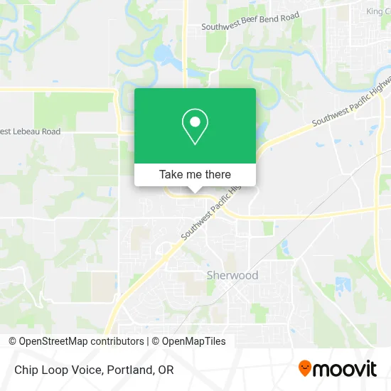 Chip Loop Voice map