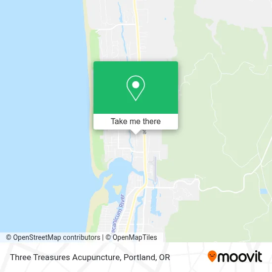 Three Treasures Acupuncture map