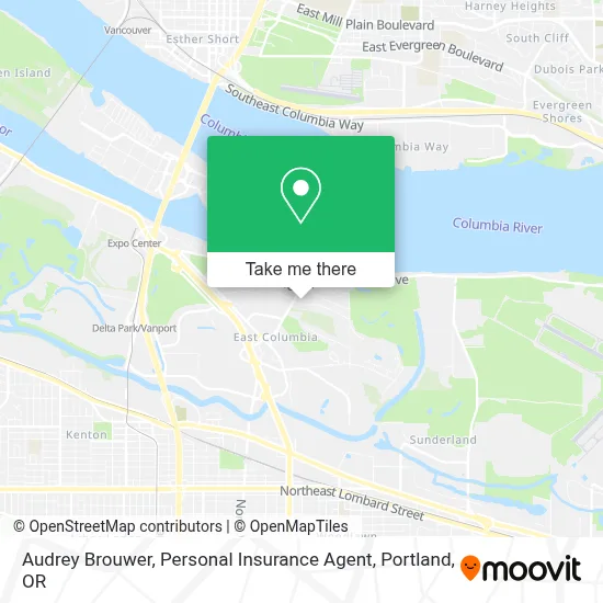 Audrey Brouwer, Personal Insurance Agent map