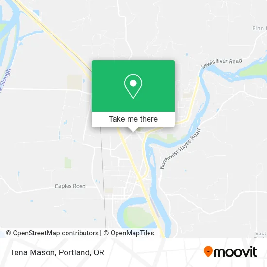 Tena Mason map