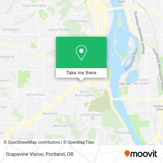 Grapevine Vision map
