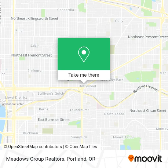 Meadows Group Realtors map