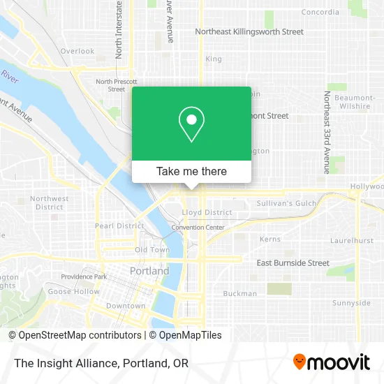 The Insight Alliance map