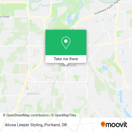 Alicea Leeper Styling map