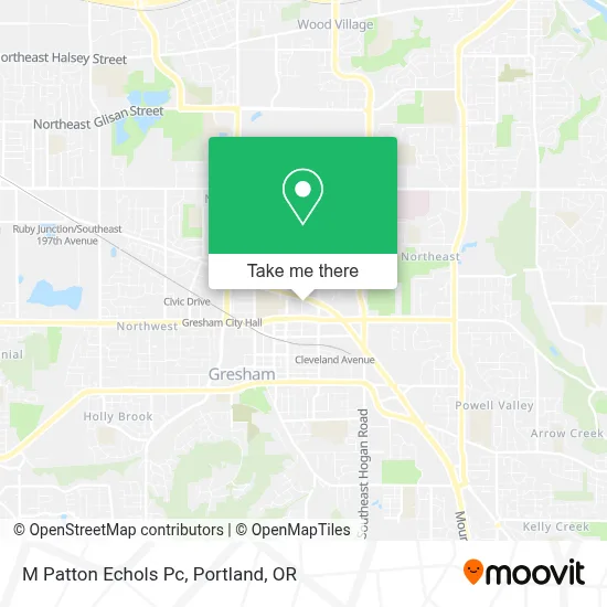 M Patton Echols Pc map