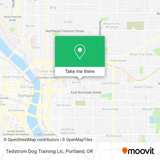 Tedstrom Dog Training Llc map