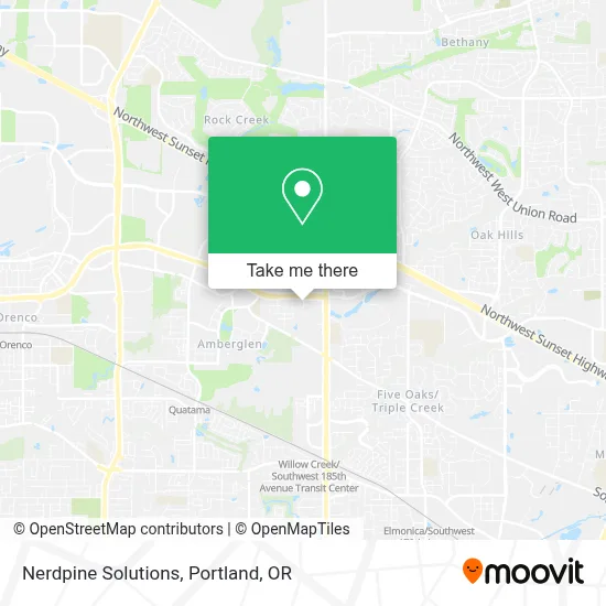 Nerdpine Solutions map